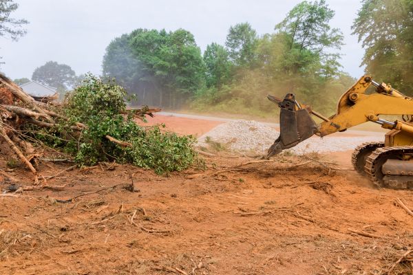 Ground Clearing in Middleburg