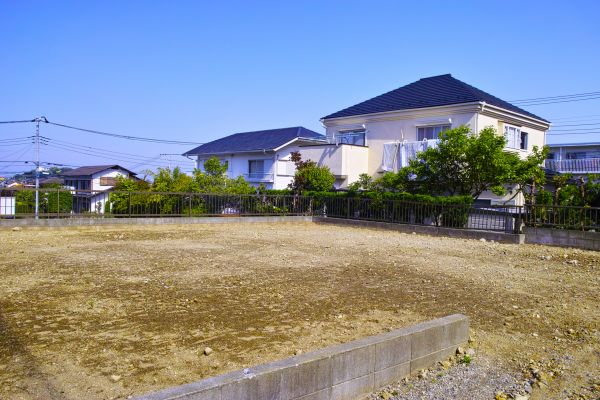 Cost of Lot Clearing Service in Middleburg