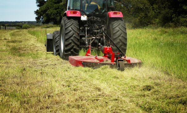 Brush Clearing Service in Middleburg