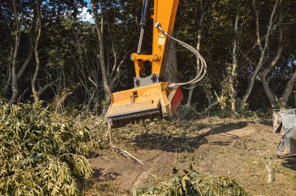 Brush Removal Service in Middleburg