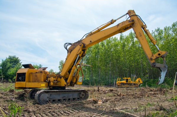 Farm Clearing in Middleburg