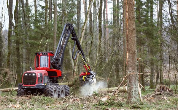 Forest Clearance Service in Middleburg