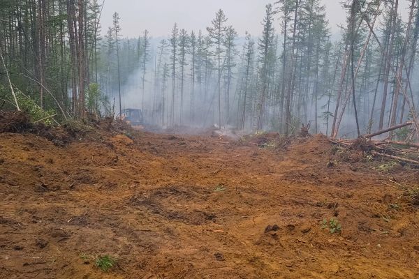 Hill Clearing in Middleburg