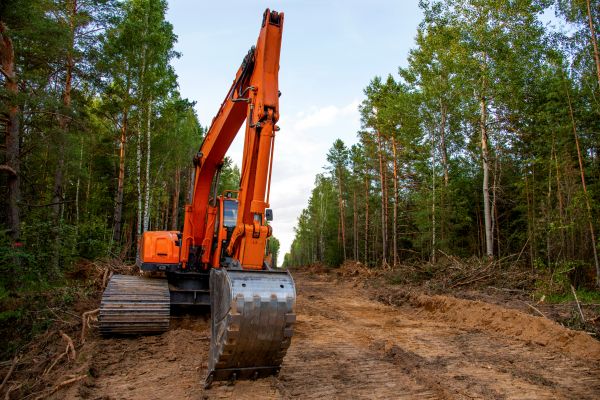 Backhoe Land Clearing in Middleburg