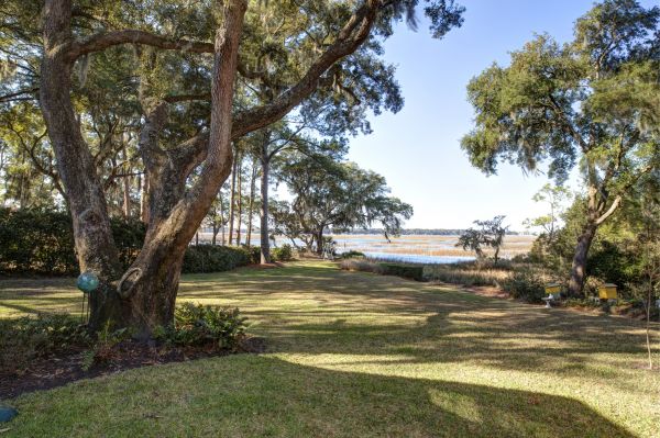 Lakefront Property Clearing in Middleburg