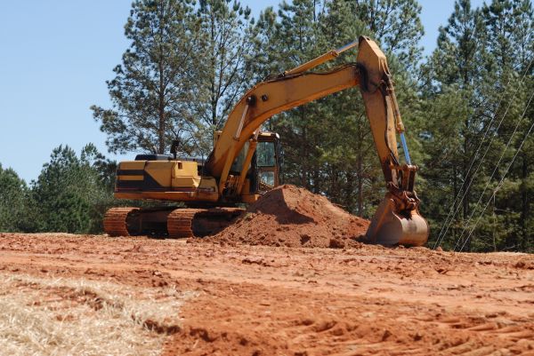 Easement Land Clearing in Middleburg