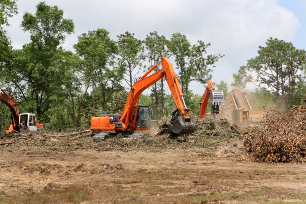 Commercial Lot Clearing in Middleburg