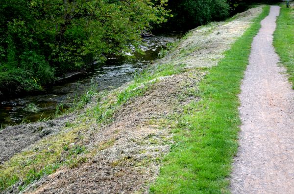 Trail Cutting in Middleburg